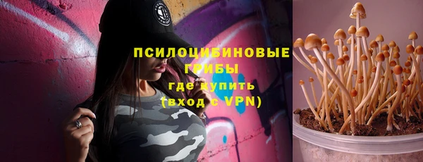 МДПВ Волосово