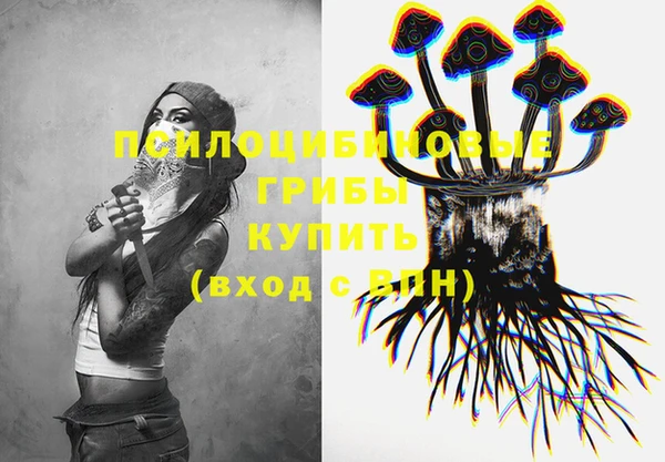 эйфоретик Семилуки