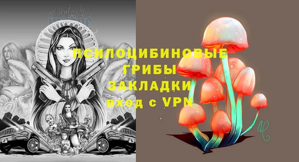 ГАЛЛЮЦИНОГЕННЫЕ ГРИБЫ Володарск