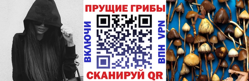мега ссылки  Ялта  Псилоцибиновые грибы Psilocybine cubensis 
